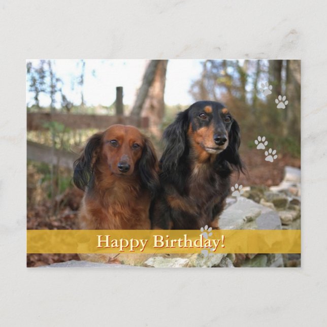 Cumpleaños! - tarjeta postal para perros (Anverso)