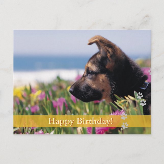 Cumpleaños! - tarjeta postal para perros (Anverso)