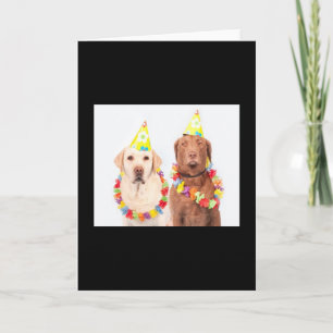 Cumpleaños 🎂 tarjetas de felicitación, a la venta