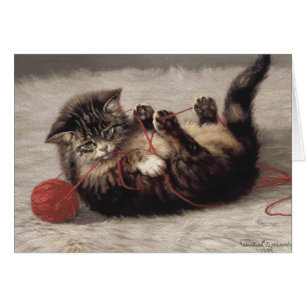 Cuna de gato, bola de yarn de gato