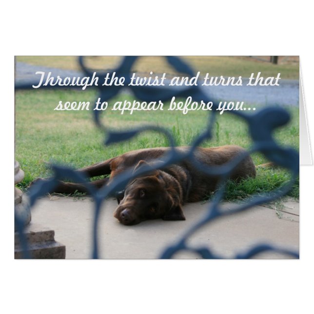 curación (Anverso (Horizontal))