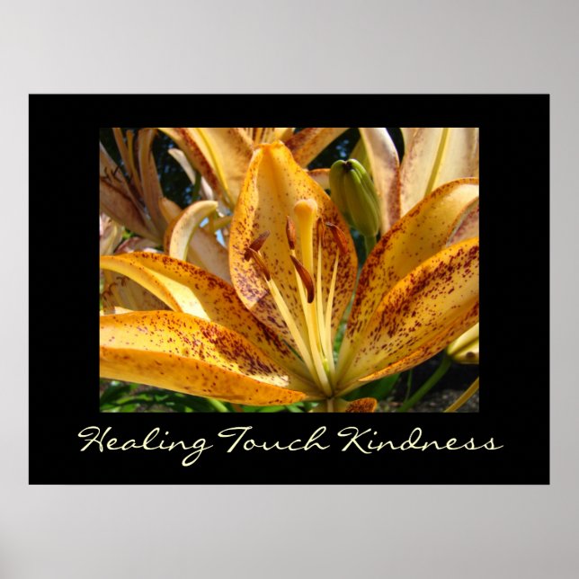Curación Touch Kindness de arte imprime Naranja Li (Frente)