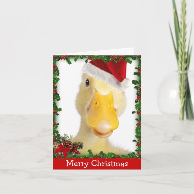 Curandero del navidad (Anverso)