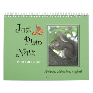 Curiosa ardilla sólo calendario nutz