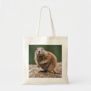 Curiosa Bolsa de Perro Prairie