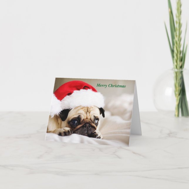 Curiosa Feliz Navidad Pug Puppy (Anverso)