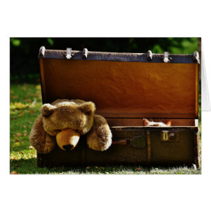 Curiosa maleta gatita con peluche