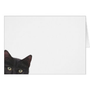 Curiosa pintura digital Kitty