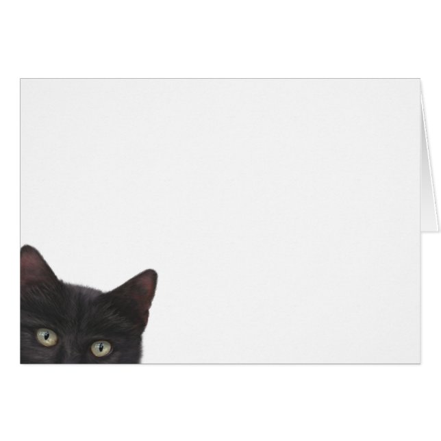 Curiosa pintura digital Kitty (Anverso (Horizontal))