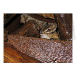Curiosa tarjeta de felicitación Chipmunk