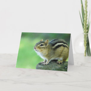 Curiosa tarjeta de felicitación Chipmunk