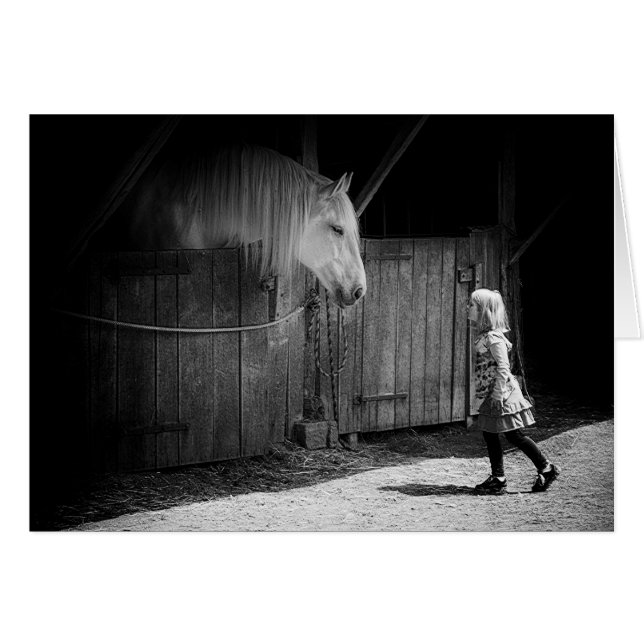 Curiosidad Mutua (Anverso (Horizontal))