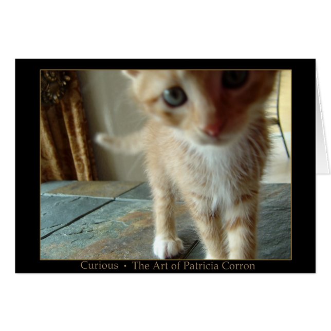 Curioso (Anverso (Horizontal))