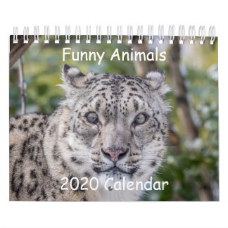 Curioso calendario animal