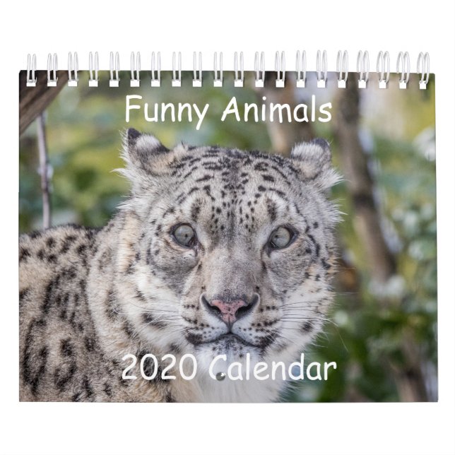 Curioso calendario animal (Tapa)