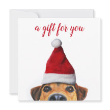 Curioso perro gracioso con tarjeta de regalo de Sa