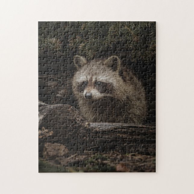 Curioso Racoon En El Rompecabezas De Los Animales  (Vertical)