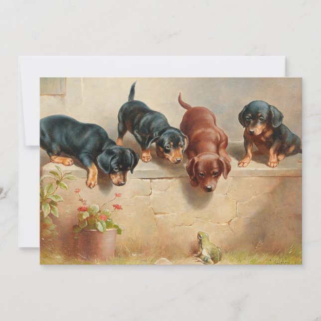 Curiosos cachorros de Dachshund | Carl Reichert (Anverso)