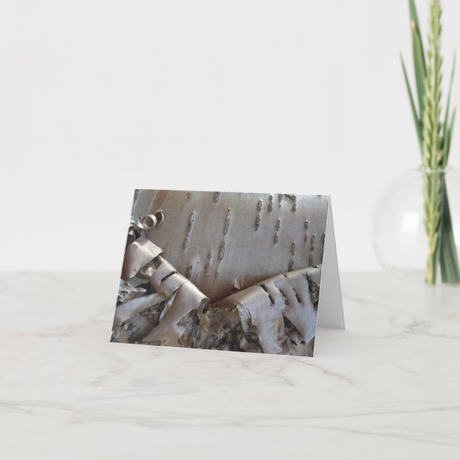 Curly Birch Bark Tree Rustic (Anverso)