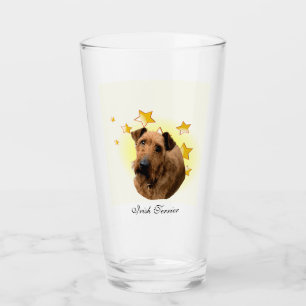 Curly Fur Irish Terrier es una estrella
