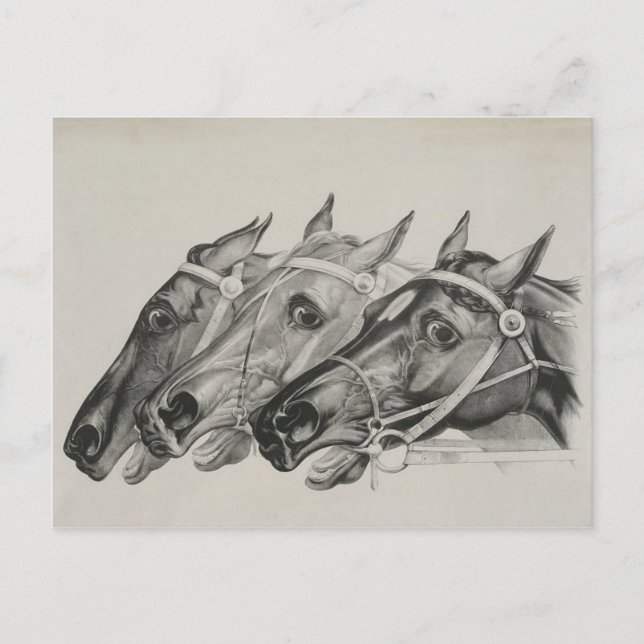 currier & ives --tarjeta postal de Los Líderes (Anverso)