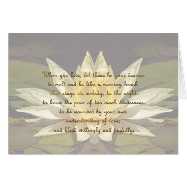 Curso del amor 2 (Anverso (Horizontal))