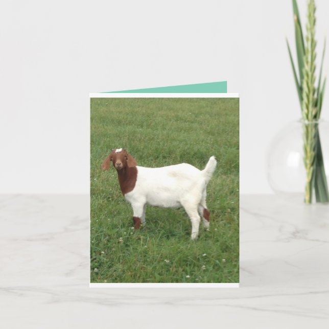 Cuta coge mi tarjeta de nota (Anverso)