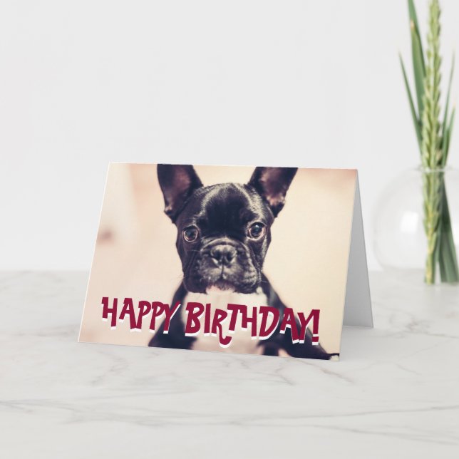 Cuta tarjeta de cumpleaños de Bulldog francés (Anverso)