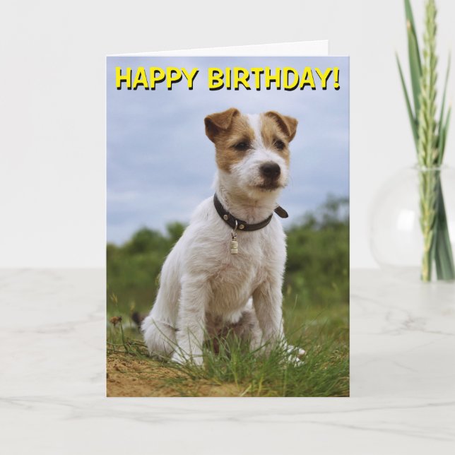 Cuta tarjeta de cumpleaños Jack Russell (Anverso)
