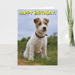 Cuta tarjeta de cumpleaños Jack Russell