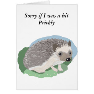 Cute Baby Hedgehog