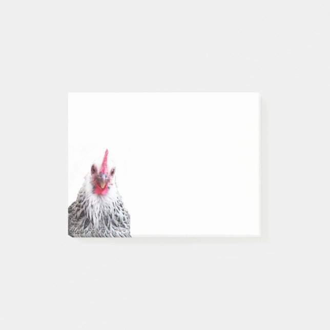 Cute Bantam Cochin Hen Photo 4x3 Notas (Anverso)