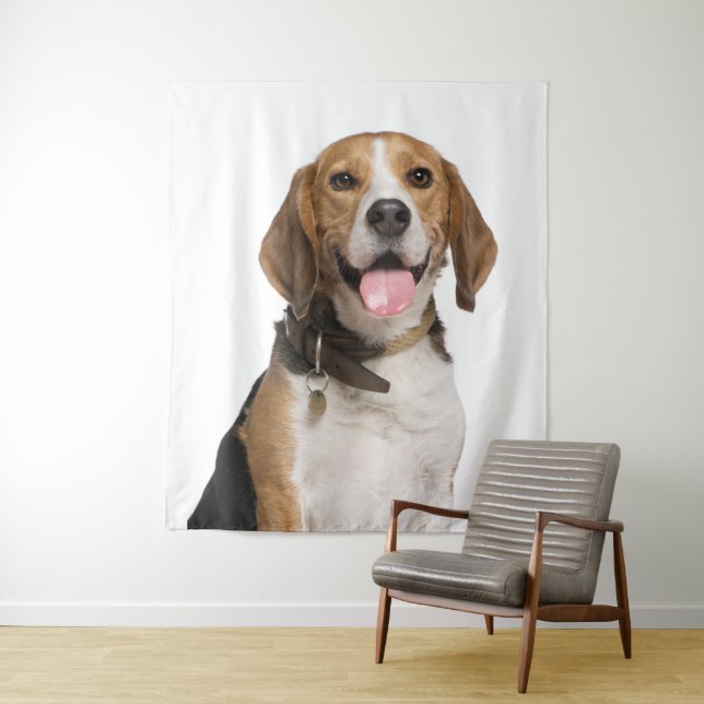 Cute Beagle Canino Tapiz de Foto (In situ)