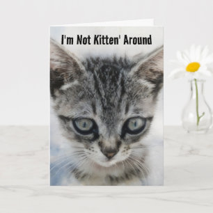 Cute bebé gato Kitten Fun Pun Tarjeta de cumpleaño