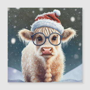 Cute bebé vaca Highland en la nieve