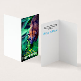 Cute Big Oyed Possum En La Tarjeta De Cumpleaños D