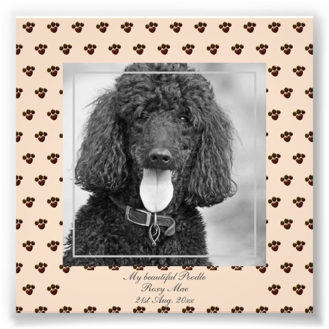 Cute Black Poodle Dogs FOTO Nombrada Keepsake (Frente)
