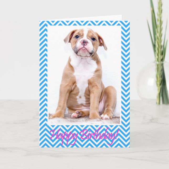 Cute Bulldog de Cachorro sentando tarjeta de cumpl (Anverso)