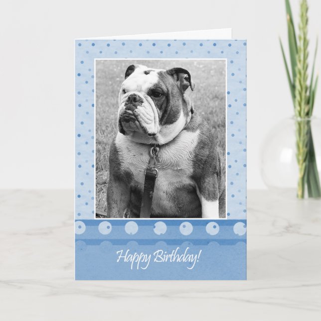 Cute Bulldog Feliz Cumpleaños Tarjeta de Saludo de (Anverso)