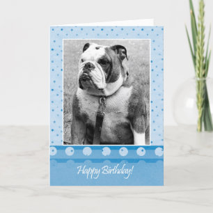 Cute Bulldog Feliz Cumpleaños Tarjeta de Saludo de