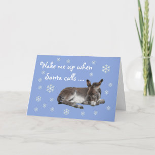 Cute Burro Copos de Nieve Azul Navidad
