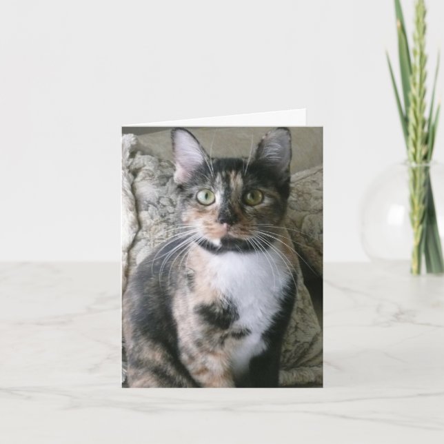Cute Calico Cat, tarjeta de cumpleaños perfecta (Anverso)