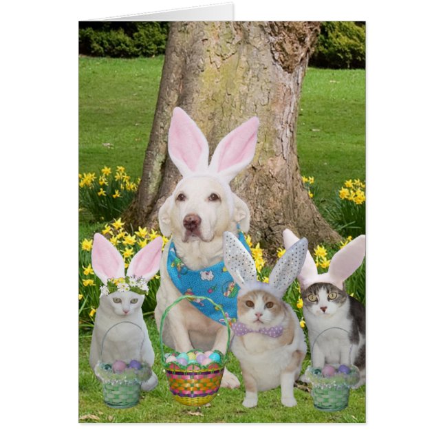 Cute Cat & Dog Bunnies (Frente)