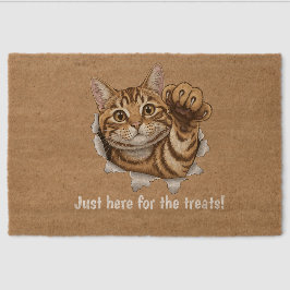 Cute Cat - Just here for the treats!