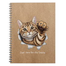 Cute Cat Notes - Cuaderno de Fotos en Espiral