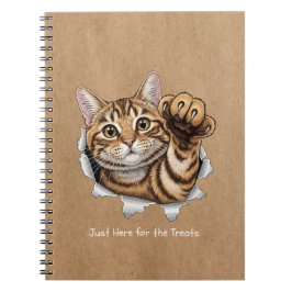 Cute Cat Notes - Cuaderno de Fotos en Espiral