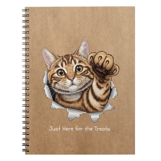 Cute Cat Notes - Cuaderno de Fotos en Espiral (Frente)