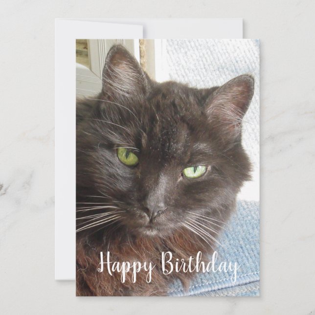 Cute Cat Photo Happy Birday Flat Card (Anverso)