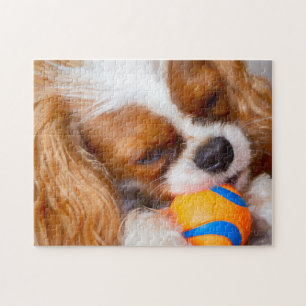 Cute Cavalier con rompecabezas de jigsaw de bolas