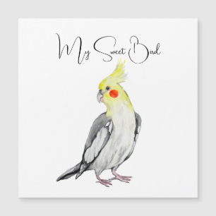 Cute Cockatiel Watercolor Parrot.